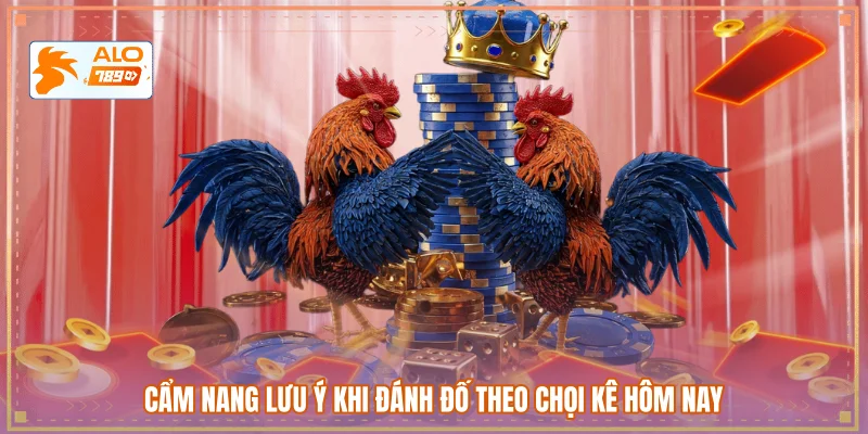 Cẩm nang lưu ý khi đánh đố theo chọi kê hôm nay
