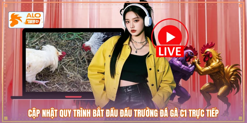 Cập nhật quy trình bắt đầu đấu trường đá gà C1 trực tiếp