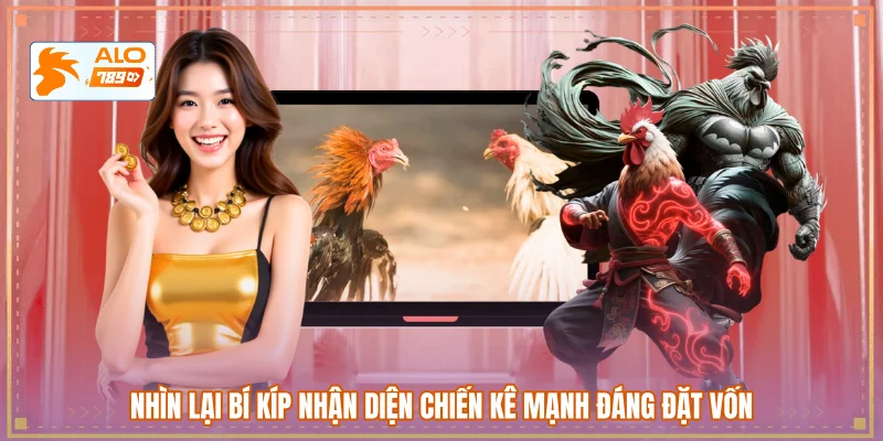 Nhìn lại bí kíp nhận diện chiến kê mạnh đáng đặt vốn