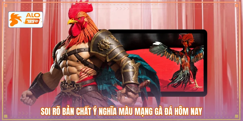 Soi rõ bản chất ý nghĩa màu mạng gà đá hôm nay